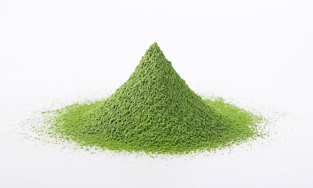 Matcha vs. Regular Green Tea - AIYA Matcha