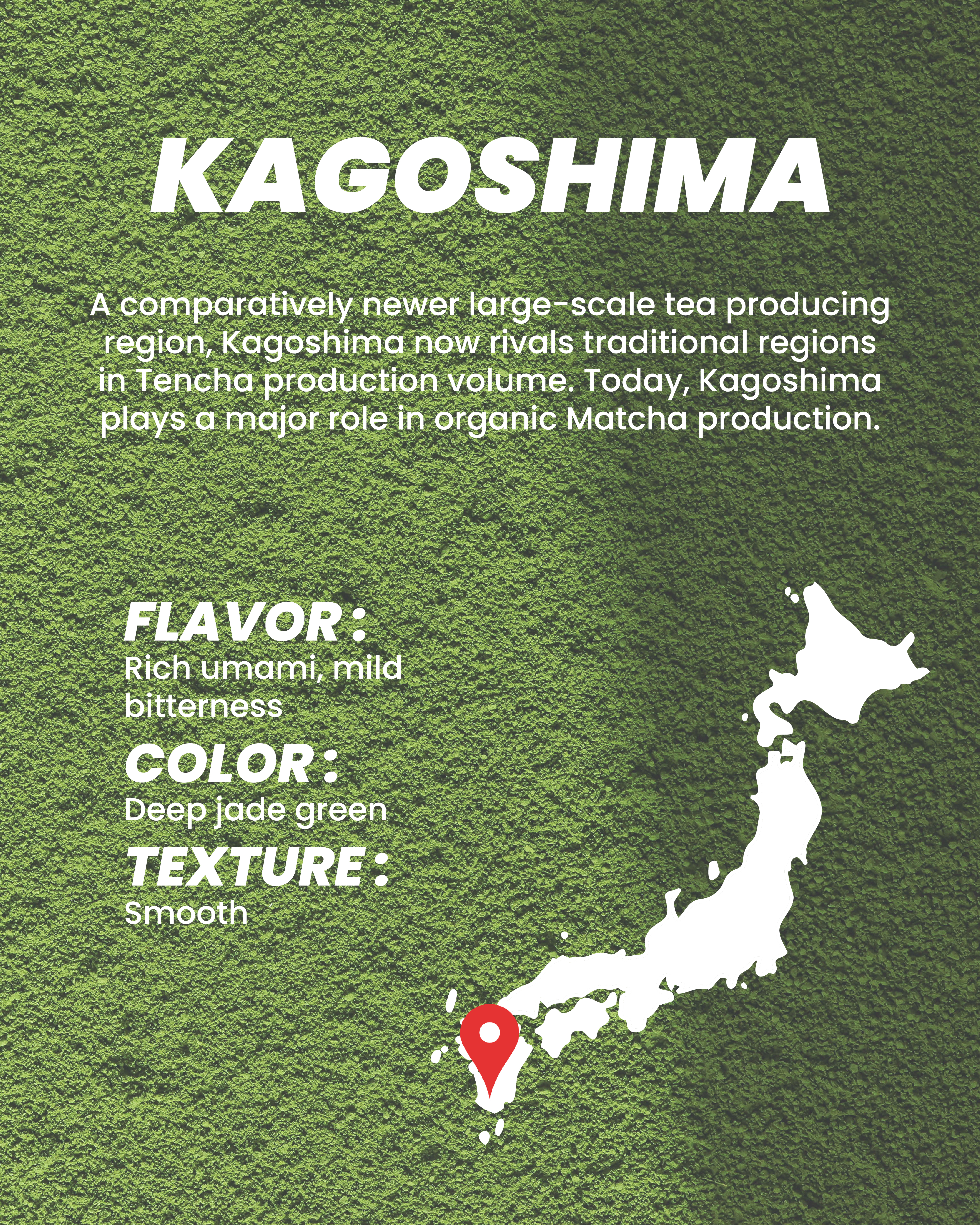 Kagoshima tea region information with flavor, color, and texture details.